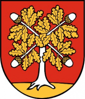 Ladecký beh detí